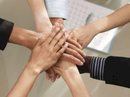 Новая работа — новый коллектив